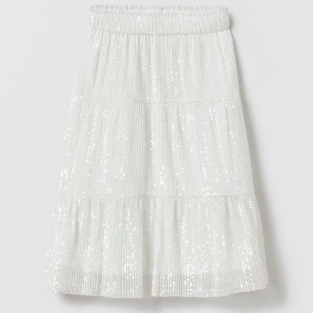 Zara sequin skirt